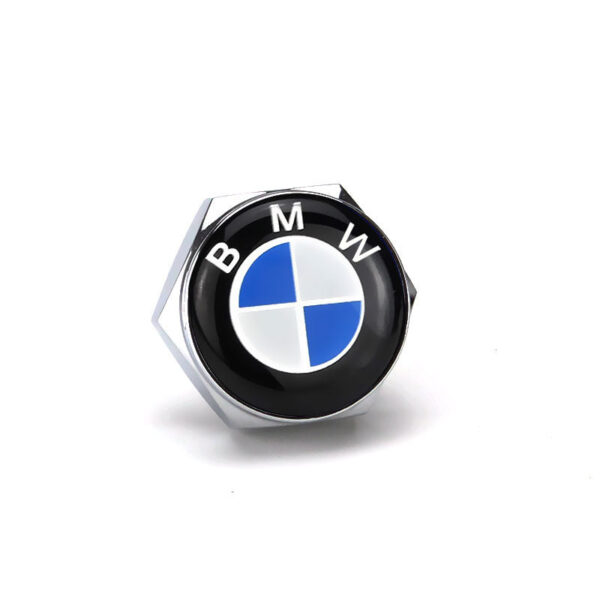 BMW Silver License Plate Bolts