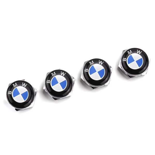 BMW Silver License Plate Bolts - Image 2